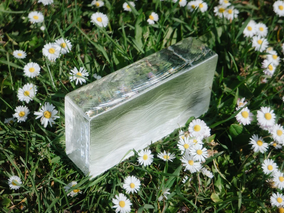 Flora · 200 × 100 × 50 mm